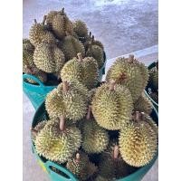 ราคา ทุเรียน หมอนทอง จันทบุรี (29384780411)