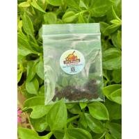 ราคา เมล็ดมะละกอโกโก้ สำหรับเพาะปลูก1ซองบรรจุ 20 เมล็ด ราคาซองละ 29 บาท (20487978764)