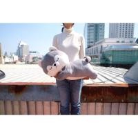 ราคา น่ารัก ตุ๊กตา Siberian Husky ไซบีเรียนฮัสกี้ & Shiba ชิบะ ท่านอนหันข้าง ตัวนุ่ม 12/20นิ้ว Husky ฮัสกี้ หมา สุนัข (26056742059)