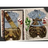 ราคา ชุดไทยเด็กผู้ชาย เสื้อผ้าไหมอิตาลีเนื้อไหม สีเทา โจงกระเบนผ้าไหมไทย สีน้ำตาล ผ้าคาดเอวลายเดียวกับโจงกระเบน (3408007827)