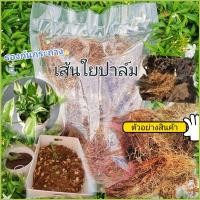 ราคา เส้นใยปาล์มน้ำมัน สำหรับรองก้นกระถางทดแทน ขุยมะพร้าว ขุยมะพร้าวสับ (11050284761)