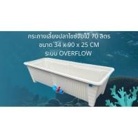 ราคา กระถางเลี้ยงปลาไซซ์จัมโบ้ ระบบoverflow กระถางขาววาล์วฟ้าขนาด34x90x25CM อ่างเลี้ยงปลาเมกาดะ อ่างปลาสวยๆ อ่างเลี้ยงปลา (50855404883)