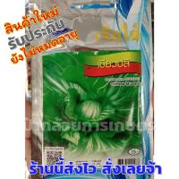 ราคา เมล็ดผักกาดเขียวปลี เมล็ดพันธุ์ผักเจียไต๋ 1 ซอง ผักกาดเขียวปลี (2908435688)
