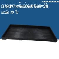 ราคา The Hugs Shop ถาดเพาะต้นอ่อน ถาดเพาะต้นกล้าแบบมีรู ถาดเพาะต้นอ่อนทานตะวัน ถาดเพาะกล้า(ขายยกมัด)( แพ๊ค 10 ใบ) (42574671226)