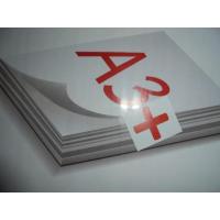 ราคา A3+ กระดาษอาร์ตมัน 2 หน้า A3+ ความหนา 230 แกรม ขนาด 29.7 ซม.x 47 ซม. . (3933922702)