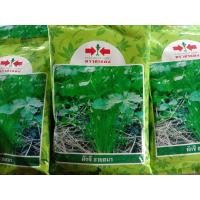 ราคา ผักชีหอม เมล็ดพันธุ์ผักชี ตราศรแดง ขนาด350กรัม (15189918044)