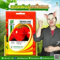 ราคา พันธุ์ผัก มะเขือเทศ ตะวันแดง SL ซีดไลน์ ทรงผลสวย เนื้อแน่น ปลูกง่าย ต้นแข็งแรง โตไว 1 ซอง คูลเกษตร KD01 (22930252244)