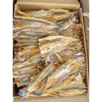 ราคา ปลาช่อนทะเลแห้งใหญ่(1 กก. ) ปลาจิ๊กโก๋ใหญ่, ปลาหัวขาด ปลาช่อนทะเลตากแห้งใหญ่ (41020273141)