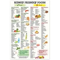 ราคา โปสเตอร์รายการอาหารที่เป็นมิตรไต,Kidney Awareness Diet for Beginner, Kidney Diet List, Low Potassium, Shopping List Food Guide For Beginner Kidney Diet Plan List, 30x45cm (41459807891)