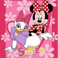 ราคา ผ้าห่มนาโนลายลิขสิทธิ์ (909830655)