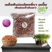 ราคา เมล็ดต้นอ่อนโต้วเหมี่ยว ต้นอ่อนถั่วลันเตา โตเหมี่ยวเพาะงอก (26454418345)