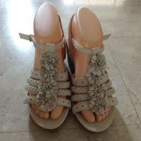 ราคา รองเท้าผู้หญิงมีส้น ยี่ห้อ Hush Puppies แท้ (มือสอง) (26203722497)