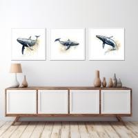 ราคา กรอบรูปพร้อม ภาพพิมพ์ วาฬ 52Hz ขนาดA3 (29.7x42 cm) กรอบพร้อมกระจก+ห่วงแขวน+ขาตั้ง (22484360190)