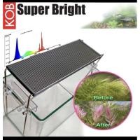 ราคา KOB Super Bright โคมไฟLED สำหรับเลี้ยงพืชน้ำและพืชบก ขนาด 120นิ้ว (25410471516)