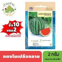 ราคา เจียไต๋ (ซื้อ10แถม2) เมล็ดพันธุ์ แตงโมเปลือกลาย ขนาด2กรัม ประมาณ40เมล็ด Watermelon แตงโม เมล็ดพันธุ์พืช เมล็ดผัก ปลูกผัก (25922140301)
