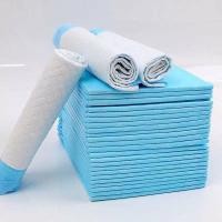 ราคา Stok Eco Pack Pet Wee Wee Pad 4560cm 50pcs /Pee Pad / แผ่นรองฝึกซ้อม (51600373533)