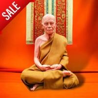 ราคา WC[98H]หลวงตามหาบัว พระธรรมวิสุทธิมงคลวัดป่าบ้านตาด รูปเหมือนหุ่นขี้ผึ้ง กายเนื้อ เเต่งผ้าจีวรติดเกษาเหมือนจริง ขนาด 5 น (22045755073)