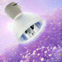 ราคา โปรเจคเตอร์ ไฟเปล่า 5J. JCL05.001, P-VIP, 210W, 0.8 E20.9 เหมาะสําหรับ BenQ TH682ST (45355458288)