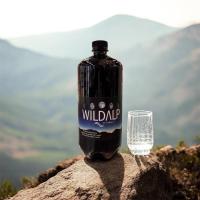 ราคา Wildalp moon natural spring water 1000ml. น้ำแร่ธรรมชาติจากเทือกเขาแอลป์ (48402805446)
