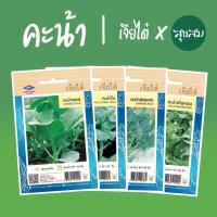 ราคา เมล็ดผัก เมล็ดคะน้า คะน้ายอด คะน้าใบ คะน้าฮ่องกง คะน้าเห็ดหอม คะน้าเจ้าคุณทิพย์ คะน้า l เจียไต๋ เมล็ดพันธุ์ผัก ปลูกผัก (6635834327)