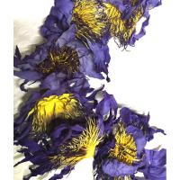 ราคา ชาดอกบัวสีน้ำเงิน กลิ่นหอม ผ่อนคลาย ออแกนิคขนาด 20กรัม (13198890407)