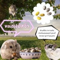 ราคา หนอนชีสจิ๋ว (10ตัว) ดักแด้ชีส หนอนถัง สำหรับแฮมสเตอร์ ชูการ์ กระรอก เม่นแคระ ดอร์เมาส์ (หนอนชีส) (24876158370)