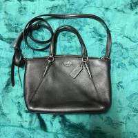 ราคา Coach พัดมินิ 10นิ้ว (688134831)