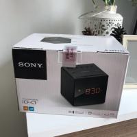 ราคา วิทยุนาฬิกา โซนี่ Sony ICF-C1 (2011771881)