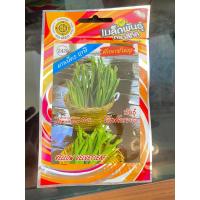 ราคา เมล็ดผักพายใหญ่ 10 ซอง แถม1 ซอง พันธุ์ ผักคันจอง ผักก้านจอง ผักกานจอง เมล็ดผัก เมล็ดพันธุ์ผัก ผักกันจอง ผักกานจอง (17175862473)