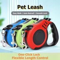 ราคา สายจูงสุนัขยืดหดอัตโนมัติ สายรั้งคอและสายรัดอก สำหรับสุนัขขนาดเล็ก-กลาง พุดเดิ้ล ทอย (27643647344)