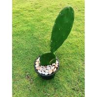 ราคา ต้นกระบองเพชรรับประทานผล สายพันธุ์ Opuntia ficus-indica #โอพันเทีย #Opuntia cactus #ใบเสมา #แคคตัส #พันธุ์ไม้หนาม (3243963054)