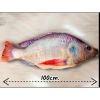 ราคา หมอนปลานิล bringmehug ขนาด 1 เมตร หมอนอาหาร ใบใหญ่ ของขวัญ ของฝากไม่ซ้ำใคร (924583053)