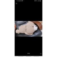 ราคา ตุ๊กตาหมีเท้ดตัวใหญ่มากกกกก (6791169453)