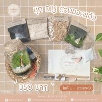 ราคา ชุดจัดสวนขวดแก้ว ไซส์ L -ขวดกลม(8.5*15.5) (6960918)