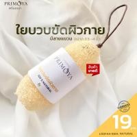 ราคา ใยบวบ ขนาด 3.5 - 4 นิ้ว ขัดตัว ขัดผิว​ มีสายคาด ไม่ผสมสารสังเคราะห์​ บวบขัดผิว​ ขัดผิว​ บวบ​ luffa (18395445041)