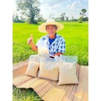 ราคา (ข้าวใหม่ นาปี 68 ) ข้าวหอมมะลิสุรินทร์ แท้‼️ จากชาวนาสุรินทร์ (43061362827)