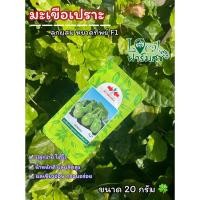 ราคา มะเขือเปราะศรแดง 20 กรัม เมล็ดพันธุ์ มะเขือเปราะ หยาดทิพย์ F1 เมล็ดพันธุ์ผักสวนครัว อัตราการงอกสูง (26058191683)
