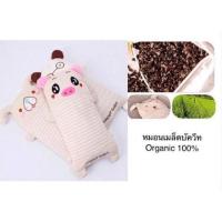ราคา หมอนกันสะดุ้ง หมอนเม็ดบัควีตกันสะดุ้ง (4660184141)