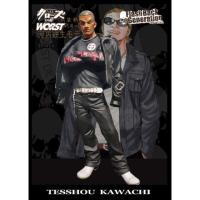 ราคา อีกา 22 cm CROWS & WORST 22 cm TESSHOU KAWACHI (Normal Limited Edition!!) (4001551379)