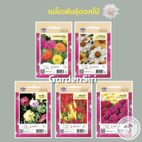 ราคา เมล็ดพันธุ์ดอกไม้(ซอง) บานชื่นดอกซ้อน บานชื่นหนู บานเย็น สร้อยไก่ หงอนไก่ ตราเครื่องบิน เจียไต๋ (12155211200)