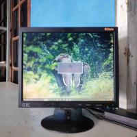 ราคา จอภาพแบรนด์ GTC LD500LN Lcd 15 นิ้ว HD Square กล่องเงื่อนไขปกติ (29835794481)