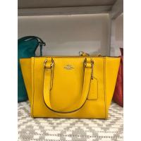 ราคา Coach Crosby Mini Carryall In Smooth Leather (52101943061)
