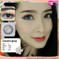 ราคา Cocoro Gray/สีเทา [สายตาสั้น -0.00 ถึง -10.00] Size Bigeye (L) ขนาดใหญ่ คอนแทคเลนส์ / ยี่ห้อ Kitty Kawaii (9795598117)