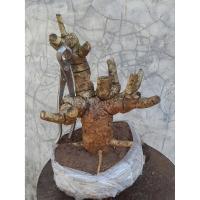 ราคา ต้นแคนา ไม้ไทยดอกสวย (29051237795)