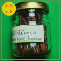 ราคา กาฝากไม้มะยมค้าขายดี กาฝาก (6289080298)