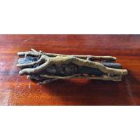 ราคา กาฝากขนุน​ คัดกิ่งสวยๆ​ เคลือบแลคเกอร์ รับประกันกาฝากไม้ขนุนของแท้​ (26213468591)