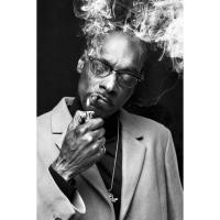 ราคา โปสเตอร์ สนูป ด็อกก์ Snoop Dogg Snoop Lion Poster แร็ปเปอร์ Rapper Hiphop ฮิปฮอป โปสเตอร์ ตกแต่งผนัง Music ตกแต่งบ้าน (7061791726)