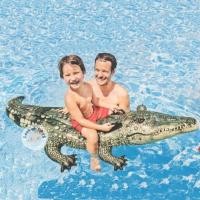 ราคา saleแพเป่าลมจระเข้ตัวใหญ่ ยี่ห้อ intex (6339304481)