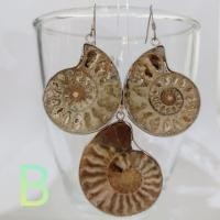 ราคา ชุดต่างหูจี้ Ammonite Set Ammonite pendant , earrings เซ็ทแอมโมไนต์ แอมโมไนต์ จี้ ต่างหู หอยล้านปี คตหอย ใส่พกติดตัว หอย (22541155561)