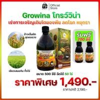ราคา ใหม่ ! Growina (โกรว์วิน่า) อาหารเสริมพืชทางใบ ฟลาโวนอยด์+กรดอะมิโน 22 ชนิด พืชโตใว แข็งแรง เพิ่มแร่ธาตุในดิน (26761006568)